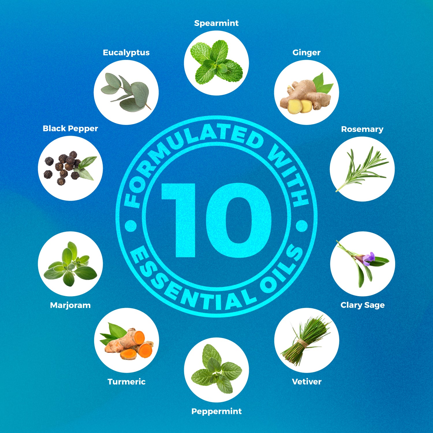 Diagram of 10 essential oils with labels on a blue background, specifically denotes Muscle Rehabs ingredients